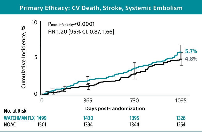 primary efficacy