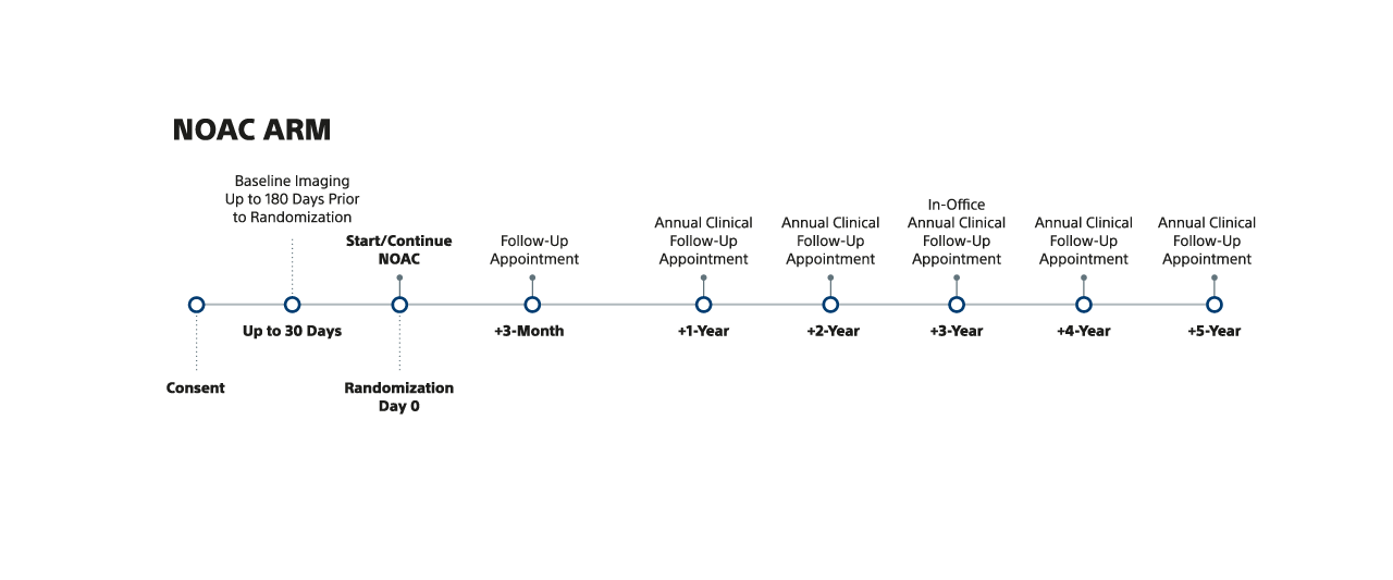 A timeline showing how the NOAC arm is followed up during CHAMPION-AF.