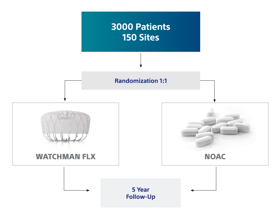 Ein Hierarchiediagramm zeigt das Studiendesign für CHAMPION-AF.
