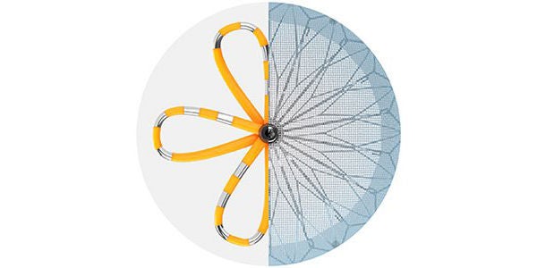 A combined cross-section of both the FARAPULSE and WATCHMAN devices.