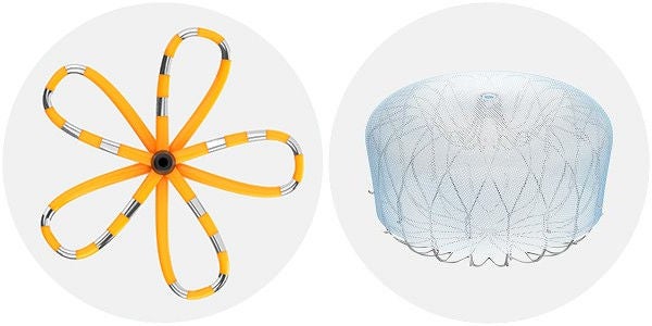 An image of the WATCHMAN implant and FARAPULSE pulsed field ablation device.