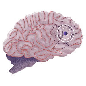 brain illustration