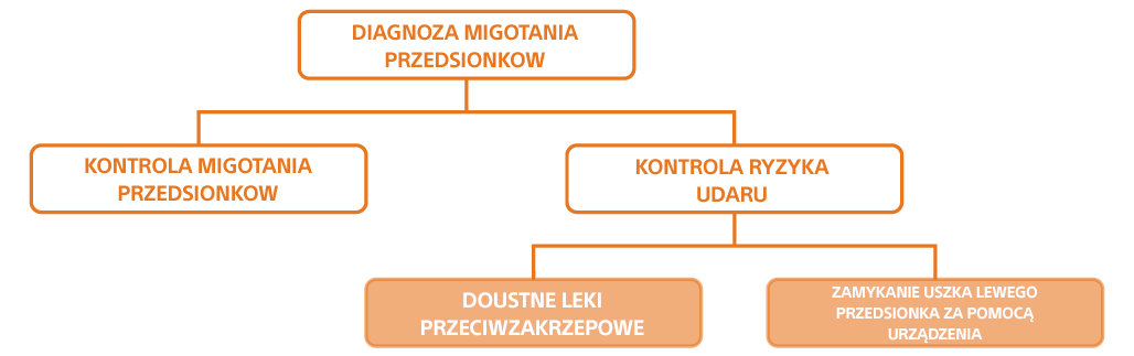 Metody leczenia obniżające ryzyko wystąpienia udaru u pacjentów z migotaniem przedsionków