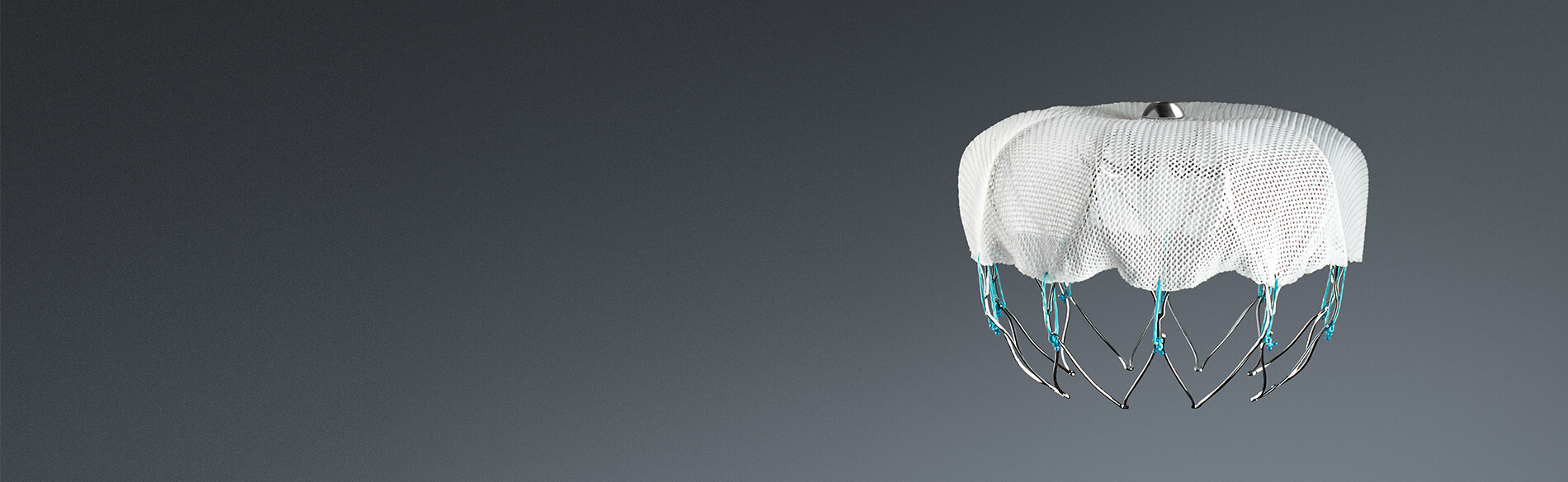 WATCHMAN Device