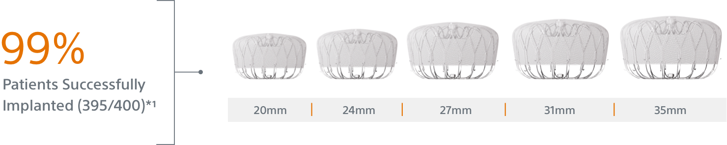 99% Patients Successfully Implanted (395/400)