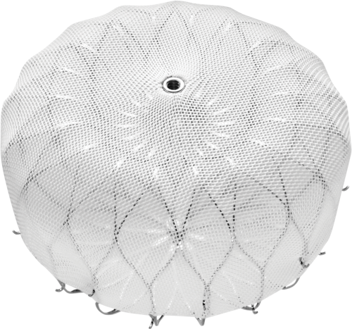 WATCHMAN FLX Device