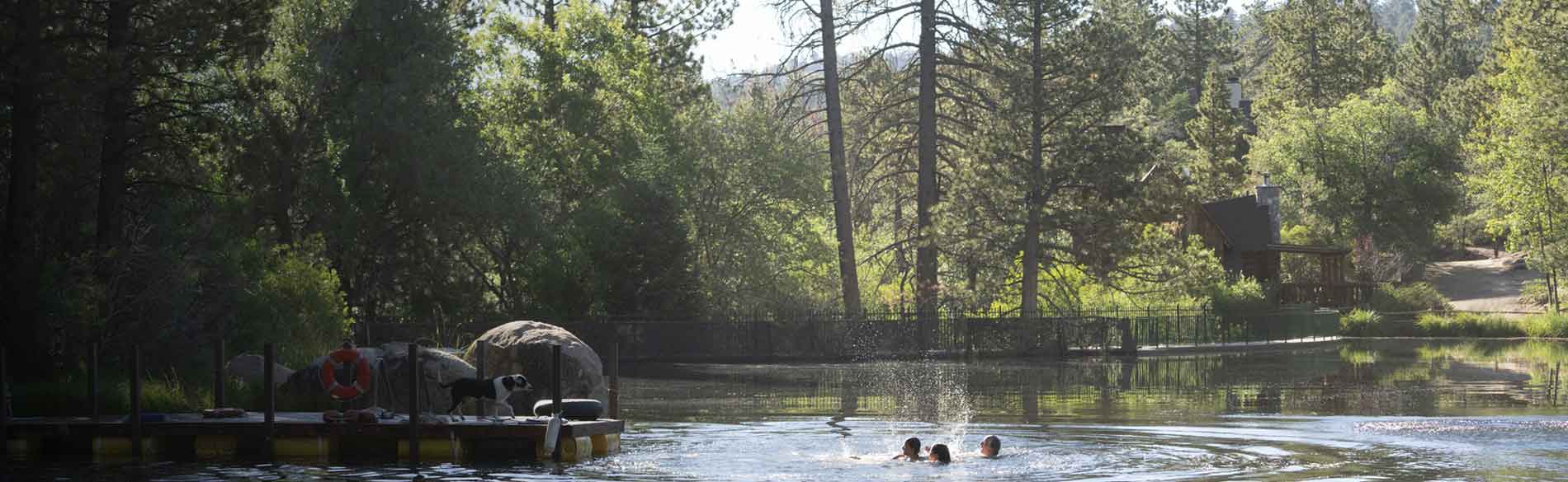 swimmers in a lake
