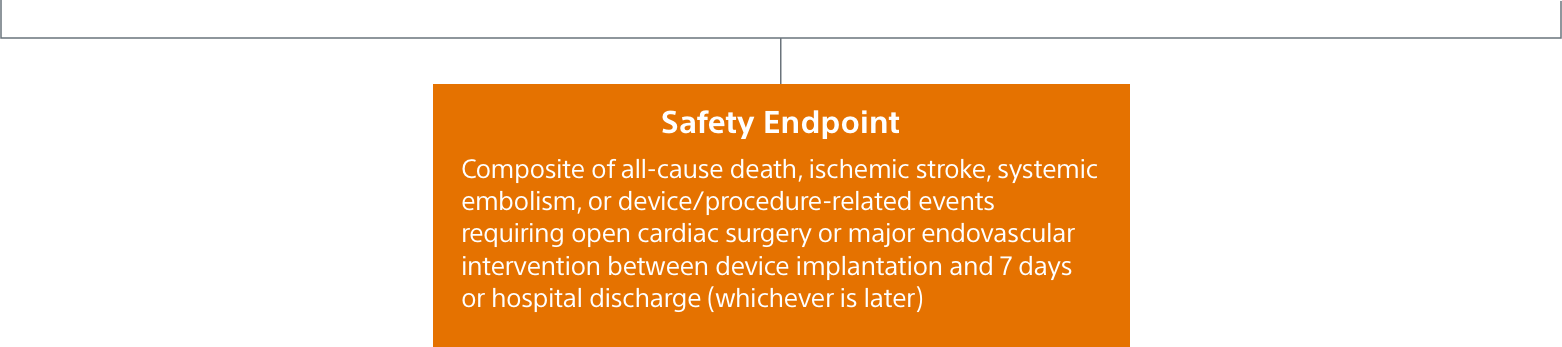 Safety Endpoint