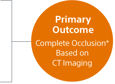 Primary Outcome Complete Seal* Based on CT Imaging