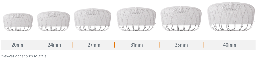 WATCHMAN FLX Pro device size chart.