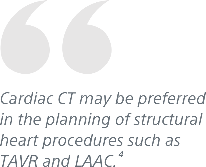 "Cardiac CT may be preferred in the planning of structural heart procedures such as  TAVR and LAAC."