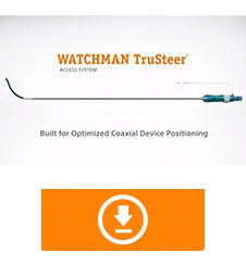 WATCHMAN TruSteer Access System thumbnail
