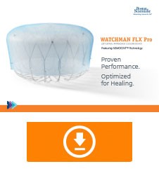 WATCHMAN FLX Pro Device Product Brochure Thumbnail.