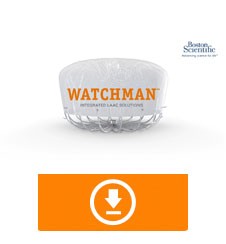 WATCHMAN FLX video image