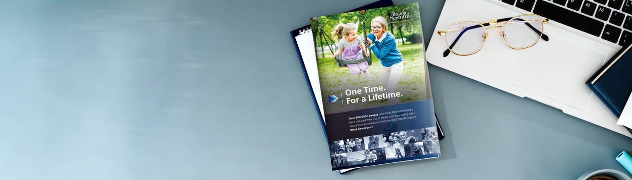 WATCHMAN brochure, one-sheets, and website.