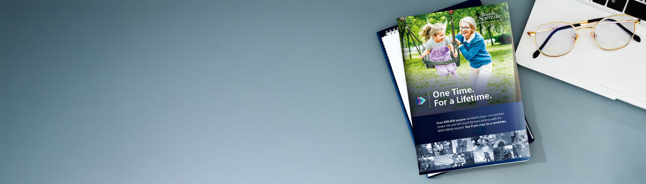 WATCHMAN brochure, one-sheets, and website.