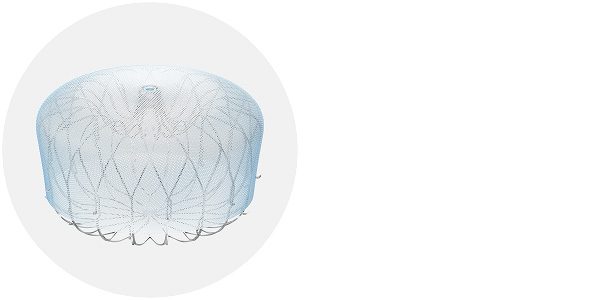 An image of the WATCHMAN implant device.