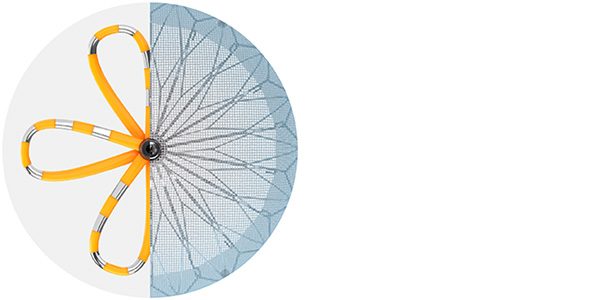 A combined cross-section of both the FARAPULSE and WATCHMAN devices.