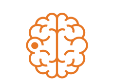 An orange icon of a brain with a stroke spot on it.