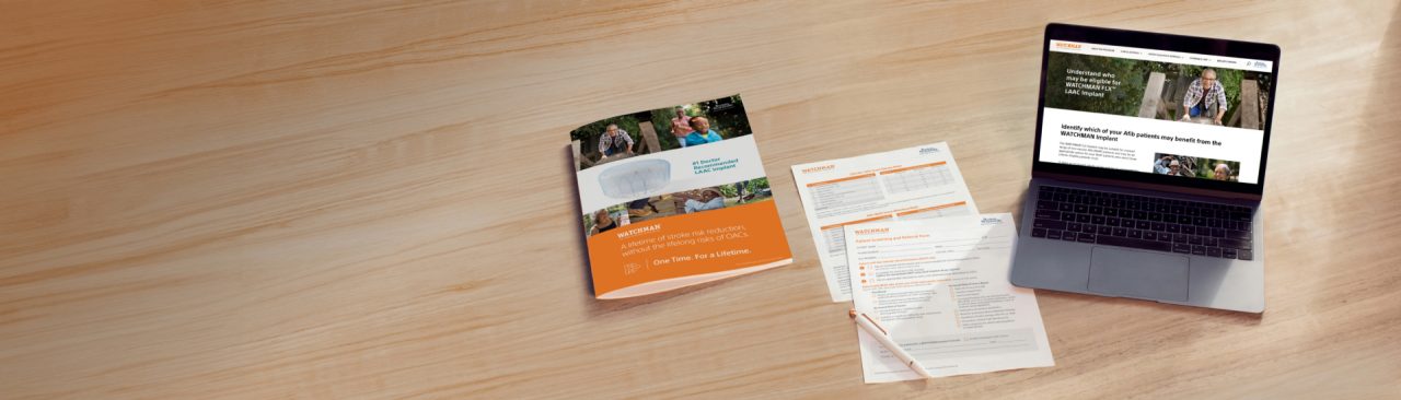 WATCHMAN brochure, one-sheets, and website.