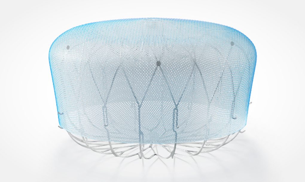 WATCHMAN FLX Pro device