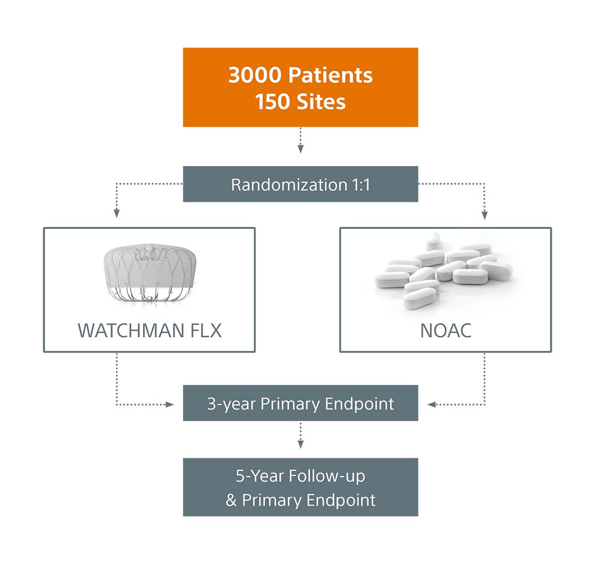 CHAMPION-AF Clinical Trial design chart.