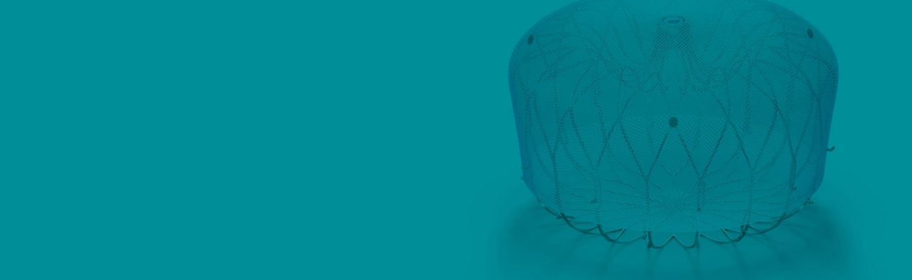 An image of the WATCHMAN FLX Pro device on a teal background.