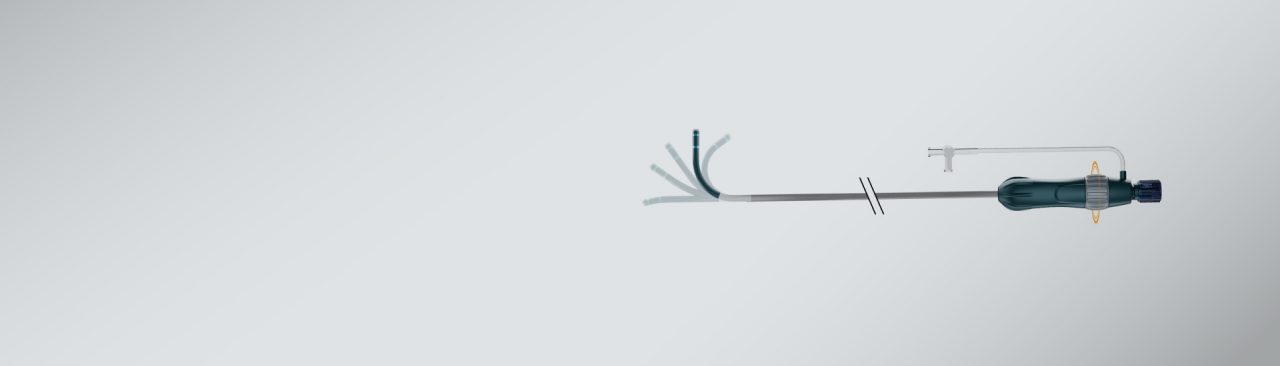 WATCHMAN  TruSteer™ Access System