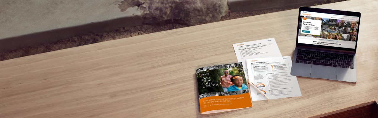 WATCHMAN brochure, one-sheets, and website.