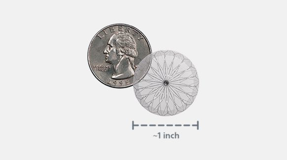 An image comparing the size of a WATCHMAN Implant to a quarter.